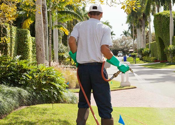About Rainier WA Pest Control